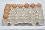 Plato na vejce Eurotray 1 (30 vajec, 60–72 g) - Obrázek 7